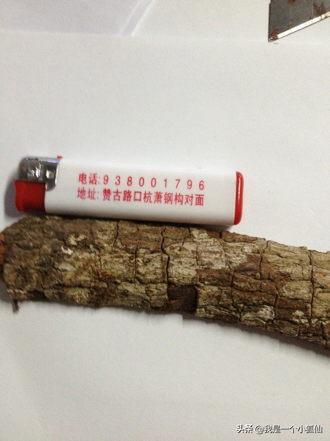 安哥拉树皮小故事,安哥拉那些事儿