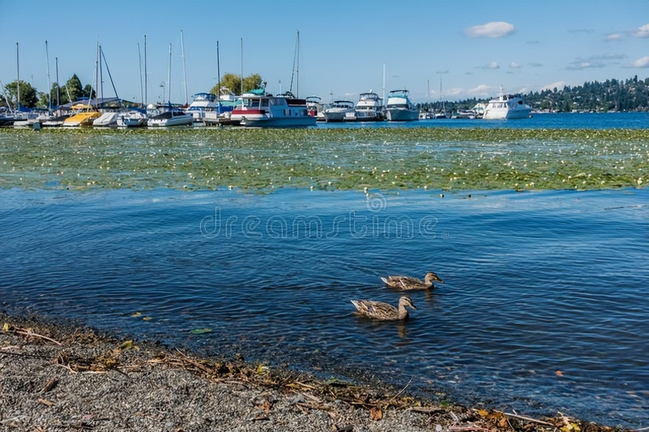 为什么说卖水是暴利呢,卖水暴利成功案例