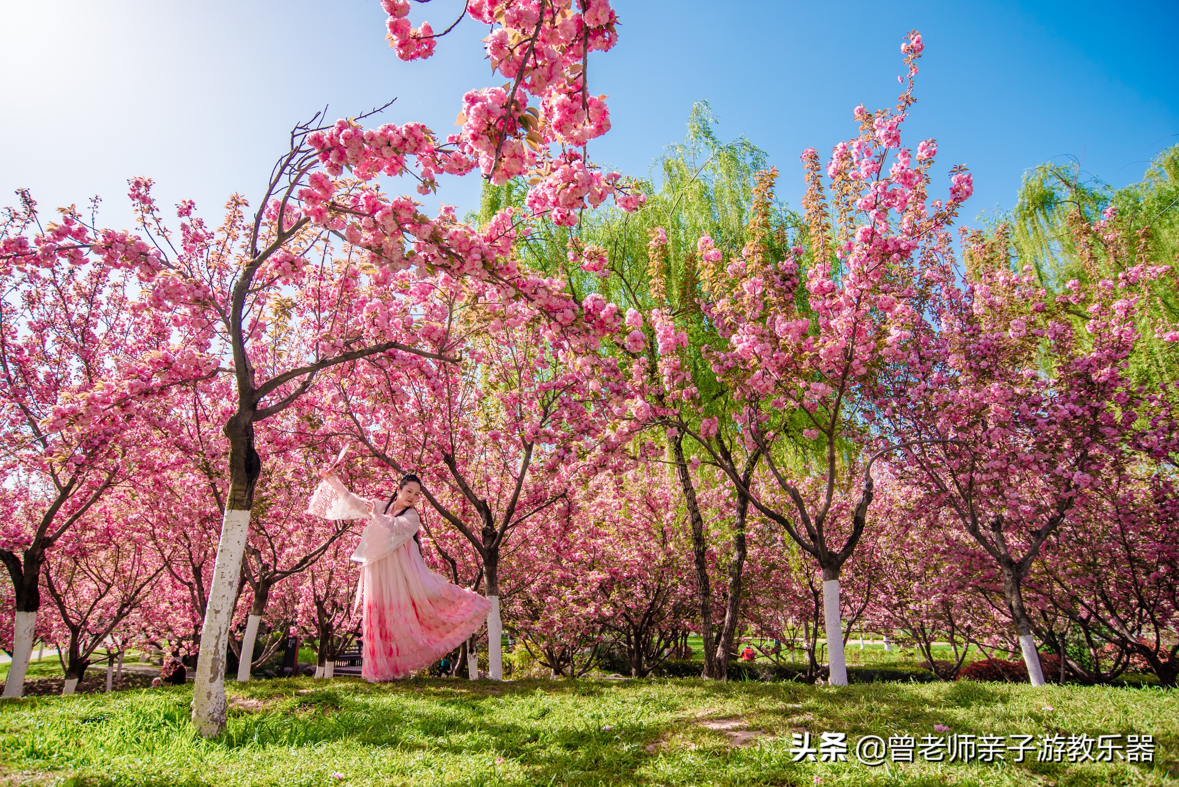 2022西安遛娃一日游的绝佳去处,2022年春节西安遛娃去哪玩最合适