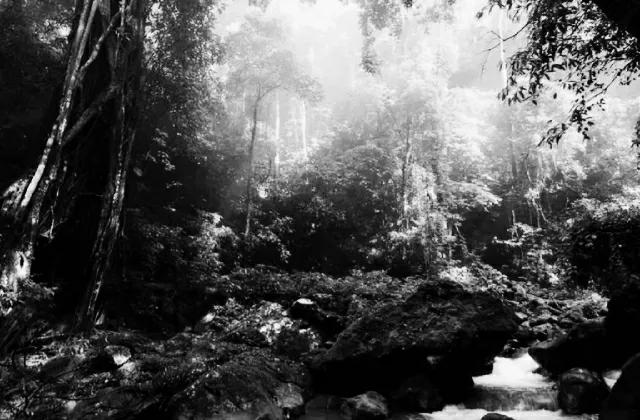 剿匪故事篇,剿匪的故事梗概