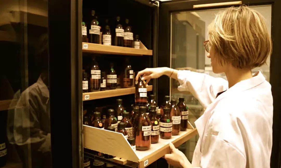 世界最好的四种工作,世界上最好干的工作