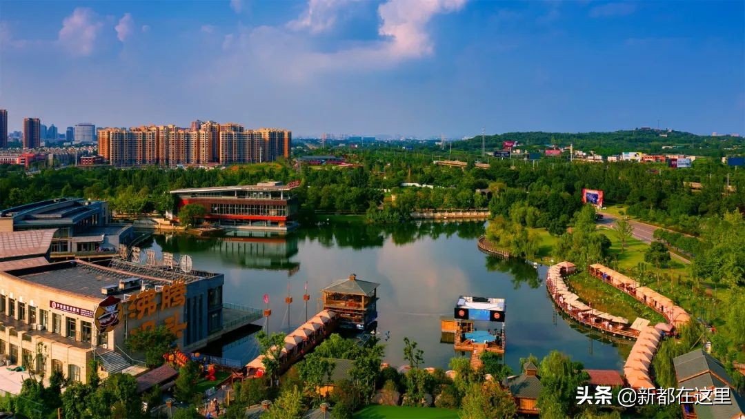 如果城市有颜色重庆,如果城市有颜色作文