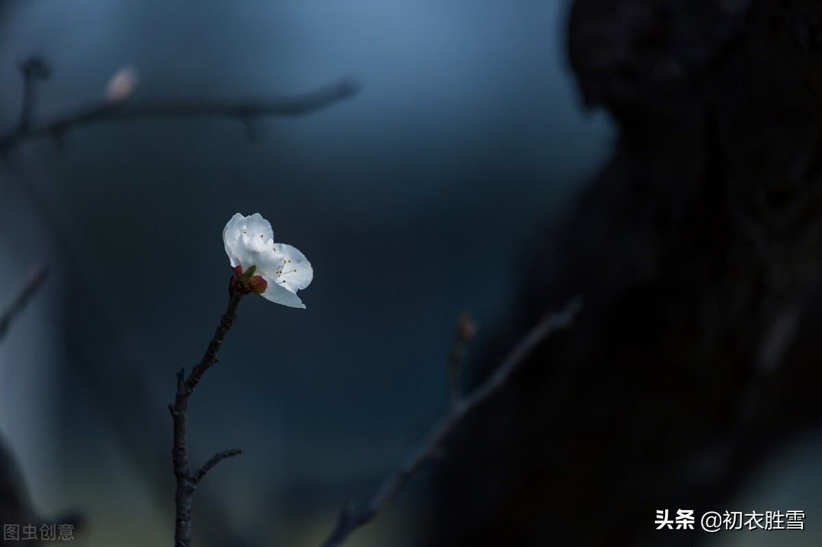 冬夜永夜美诗六首:人愁冬夜寒,我爱冬夜永