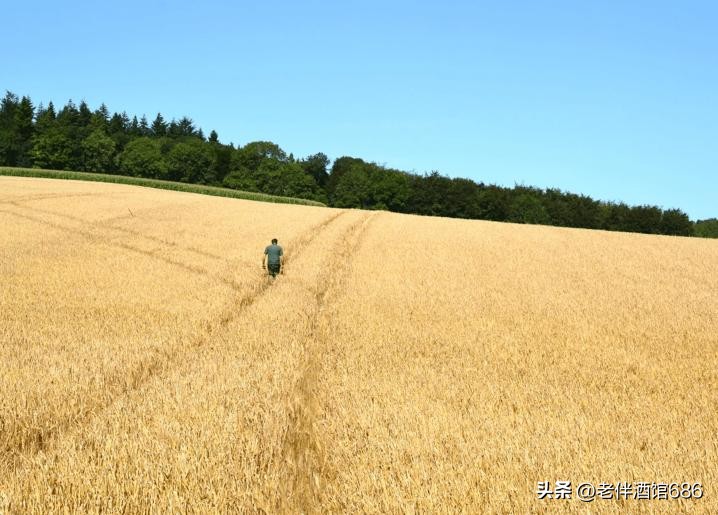 英国威士忌伯爵酒,英国威士忌酒价格表图片