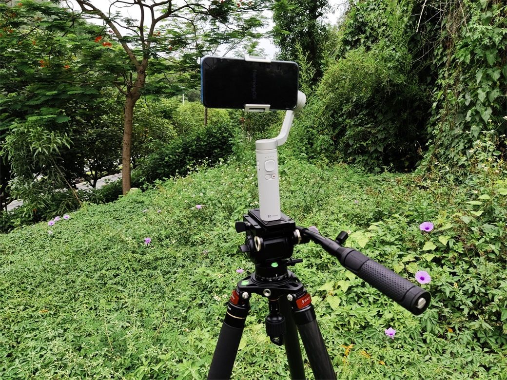 佳鑫畅悦拍鸟专用三脚架推荐,佳鑫悦三脚架怎样组成独脚架