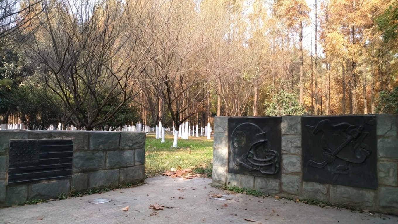 武汉友好城市视频,武汉友好城市联盟