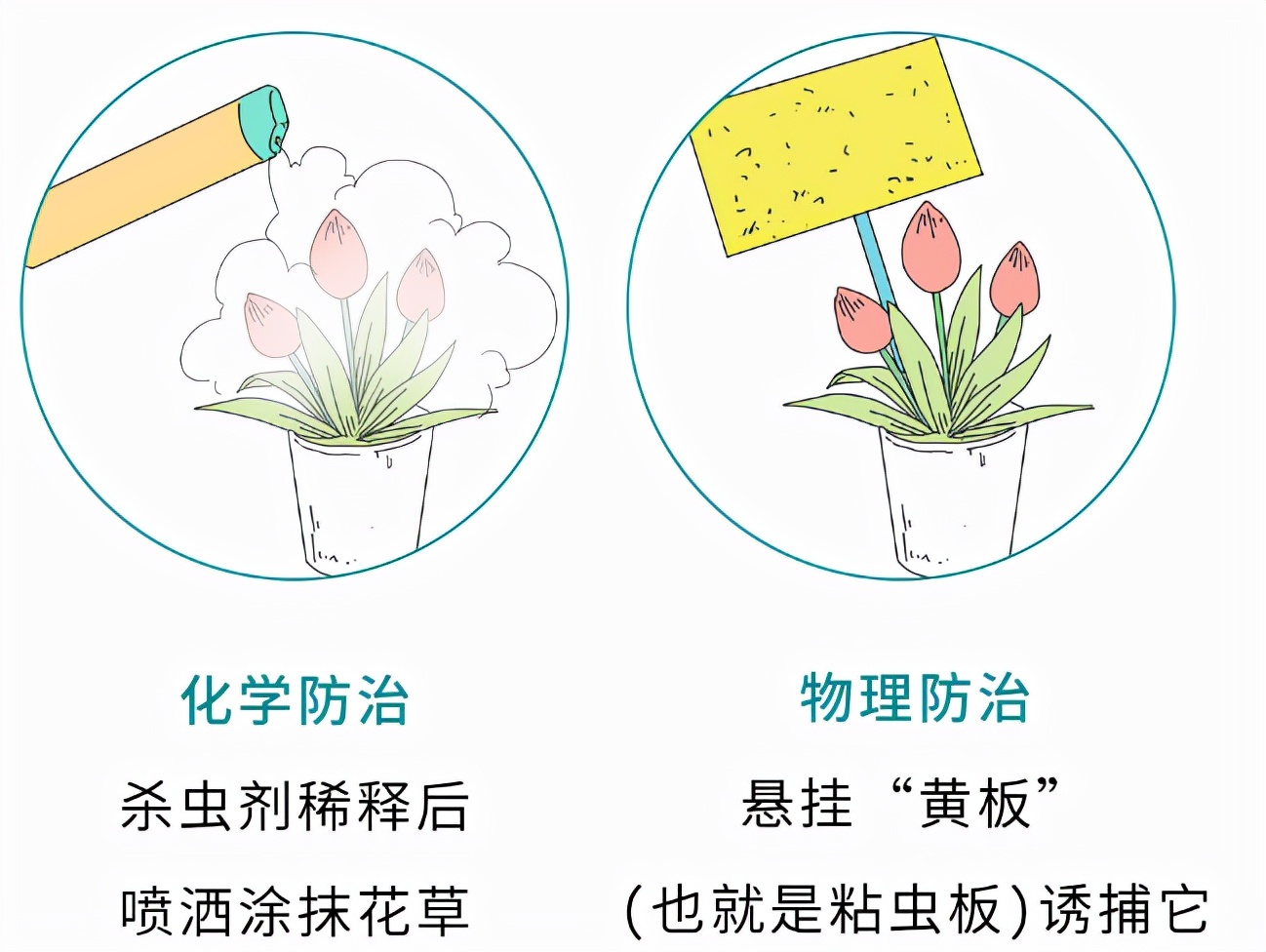 春天了家里好多虫子怎么办,春天来了家里有很多小虫怎么办