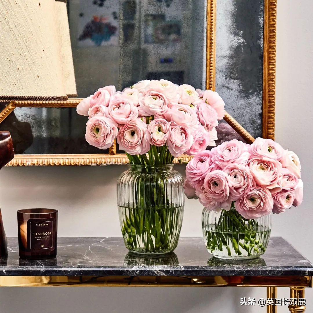 全英线上订花攻略:情人节限定fafa~爱你的心用花表示!