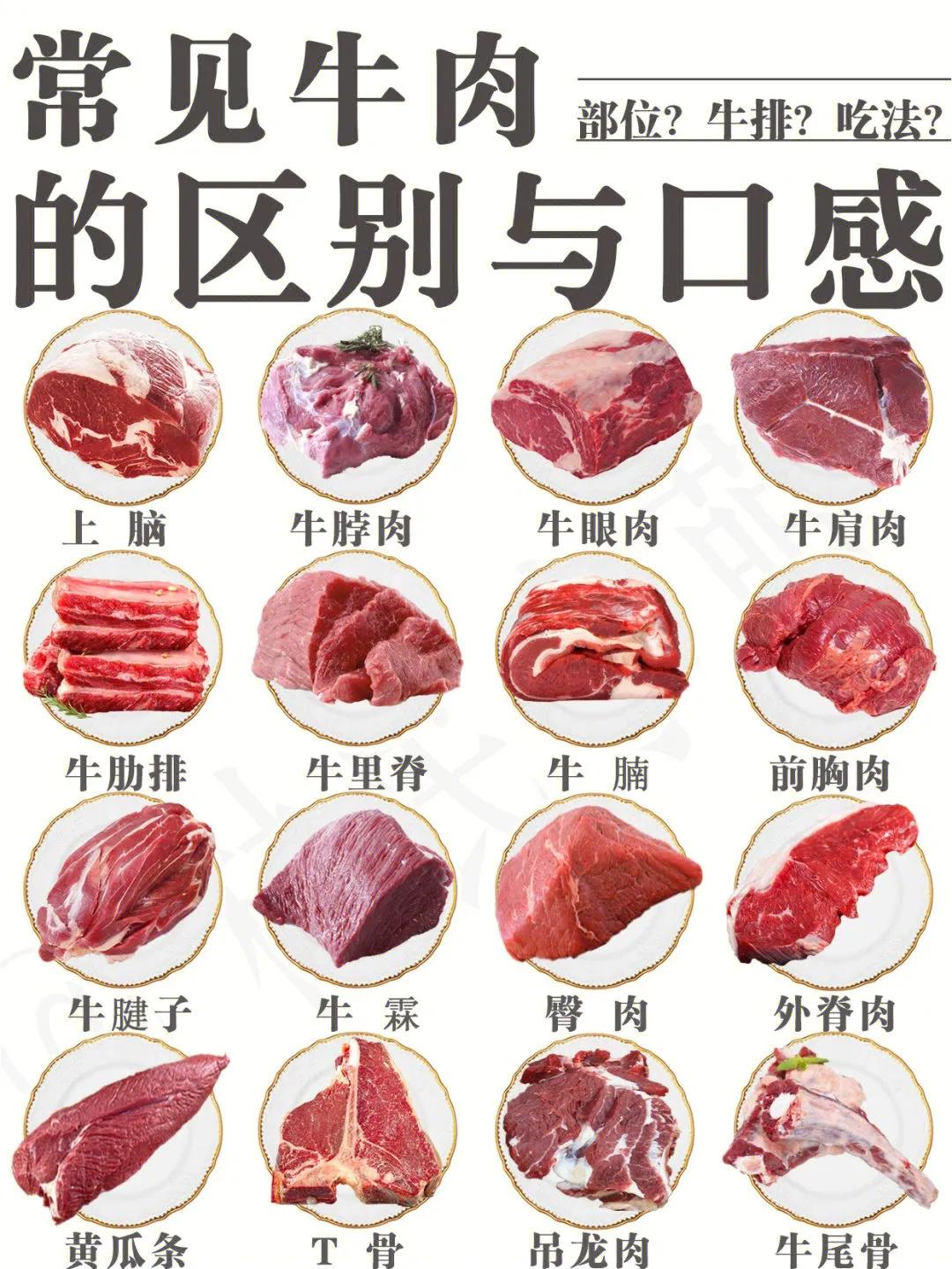 牛肉全部知识,牛肉的分类及区别