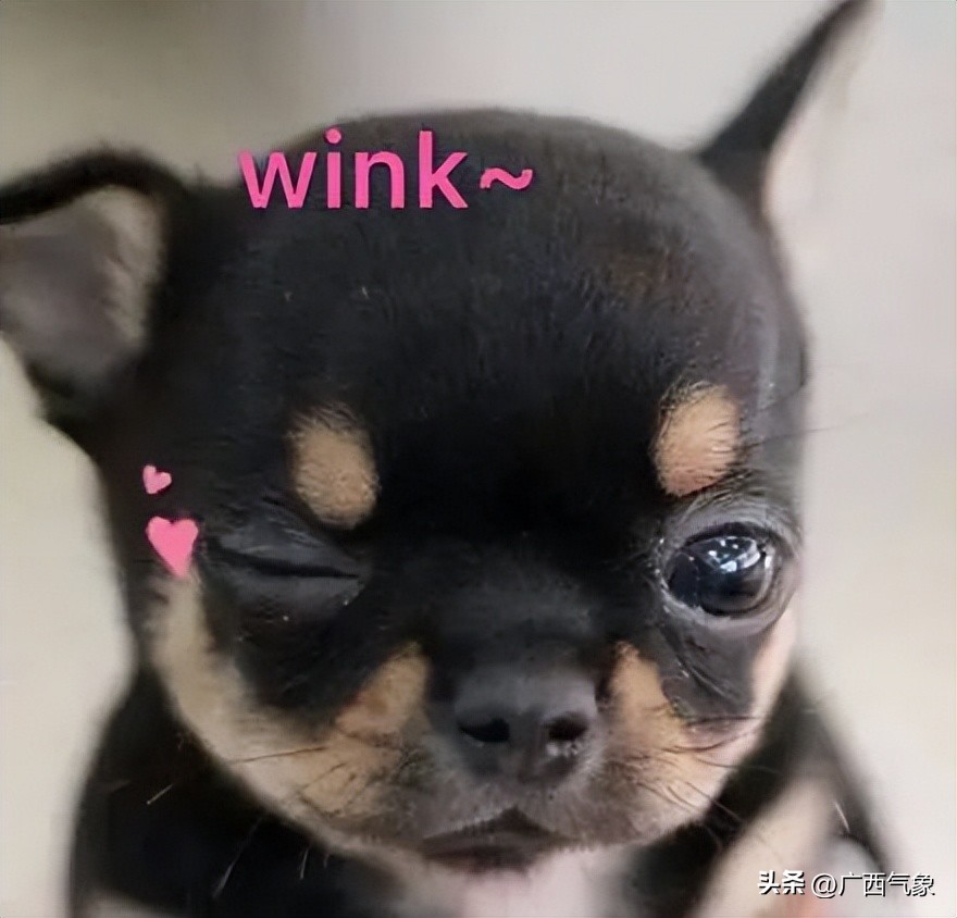 冷空气心有余而力不足未来一周阳光上线气温缓慢回升部分地区昼夜温差超10℃