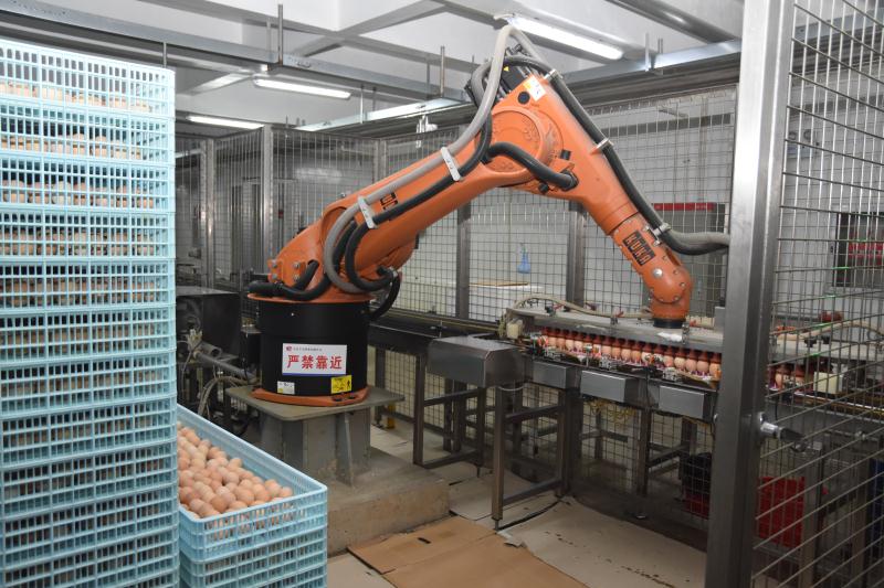 禾丰饲料邱嘉辉照片,禾丰集团邱嘉辉个人简介