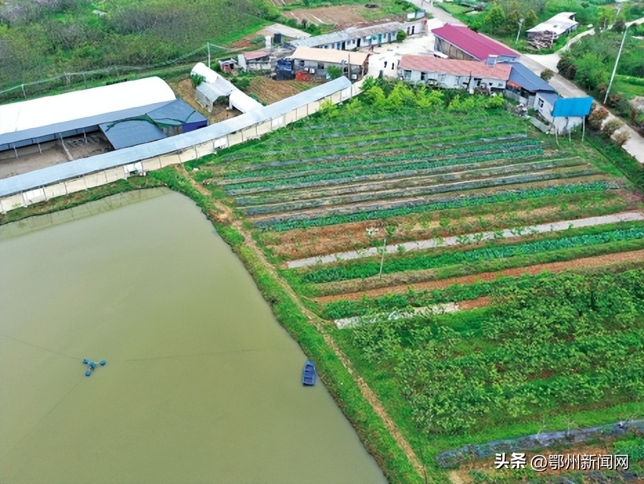 深耕农村沃土激扬梦想,深耕为民沃土赋能乡村振兴