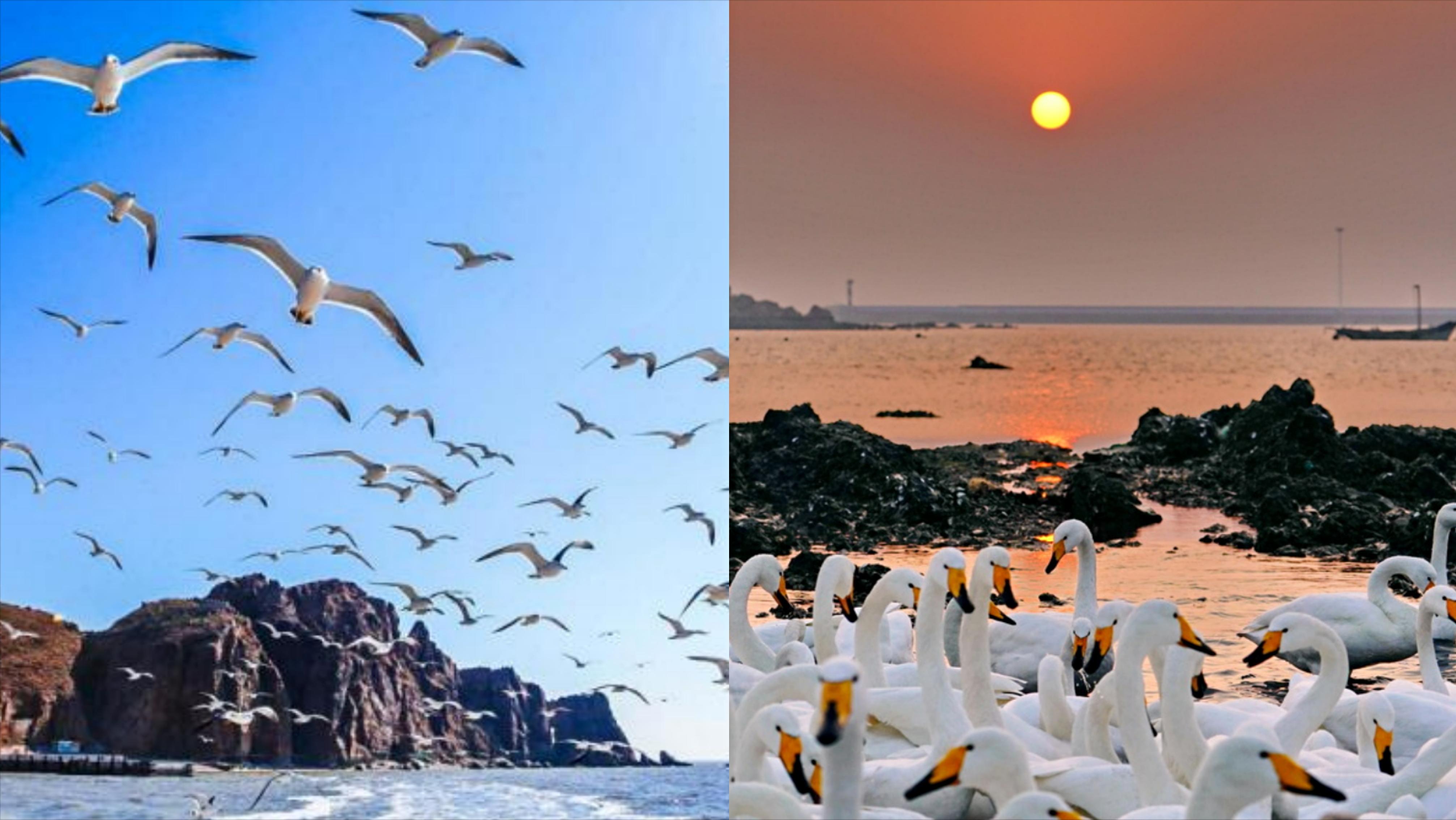 你真正的感受过自己的家乡吗,适合老年人夏天旅居的北方县城