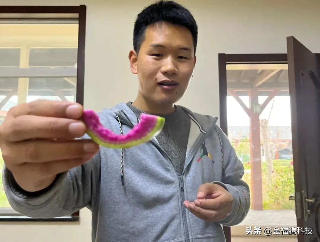 金玉园萝卜熟了~15日采摘期，清甜无辣，原汁原味，自然生长