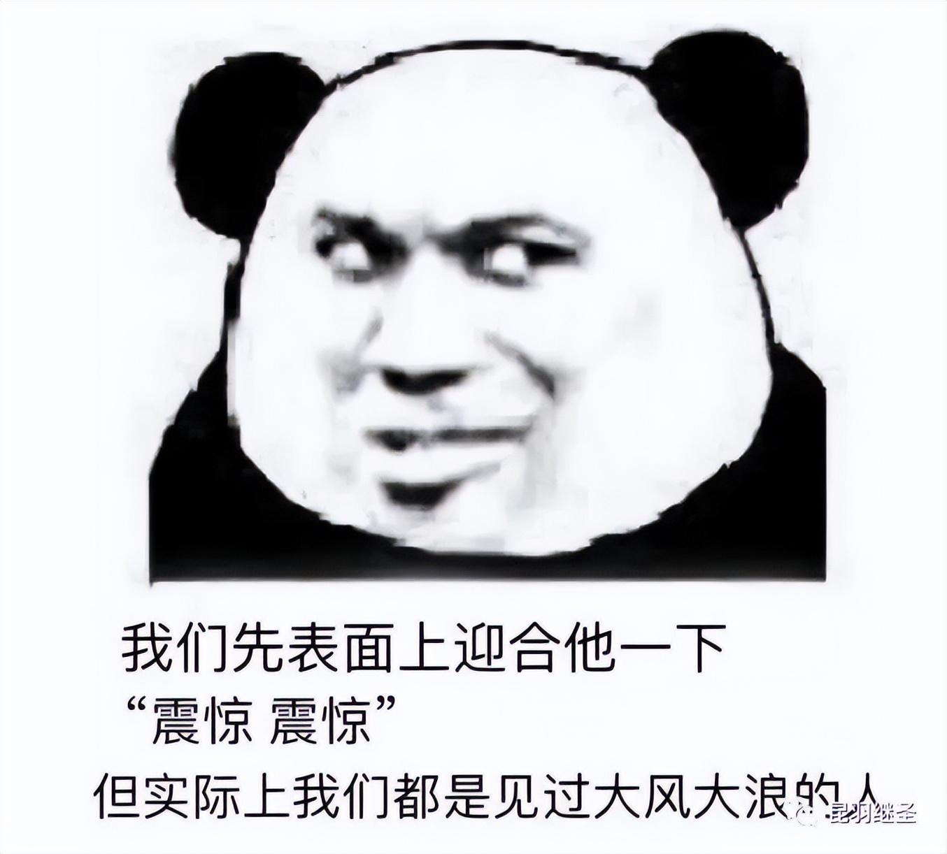 鑾卞竷灏艰尐鍜岀埍鍥犳柉鍧︾殑鍏崇郴,鑾卞竷灏艰尐涓庣埍鍥犳柉鍧﹁皝鍘夊