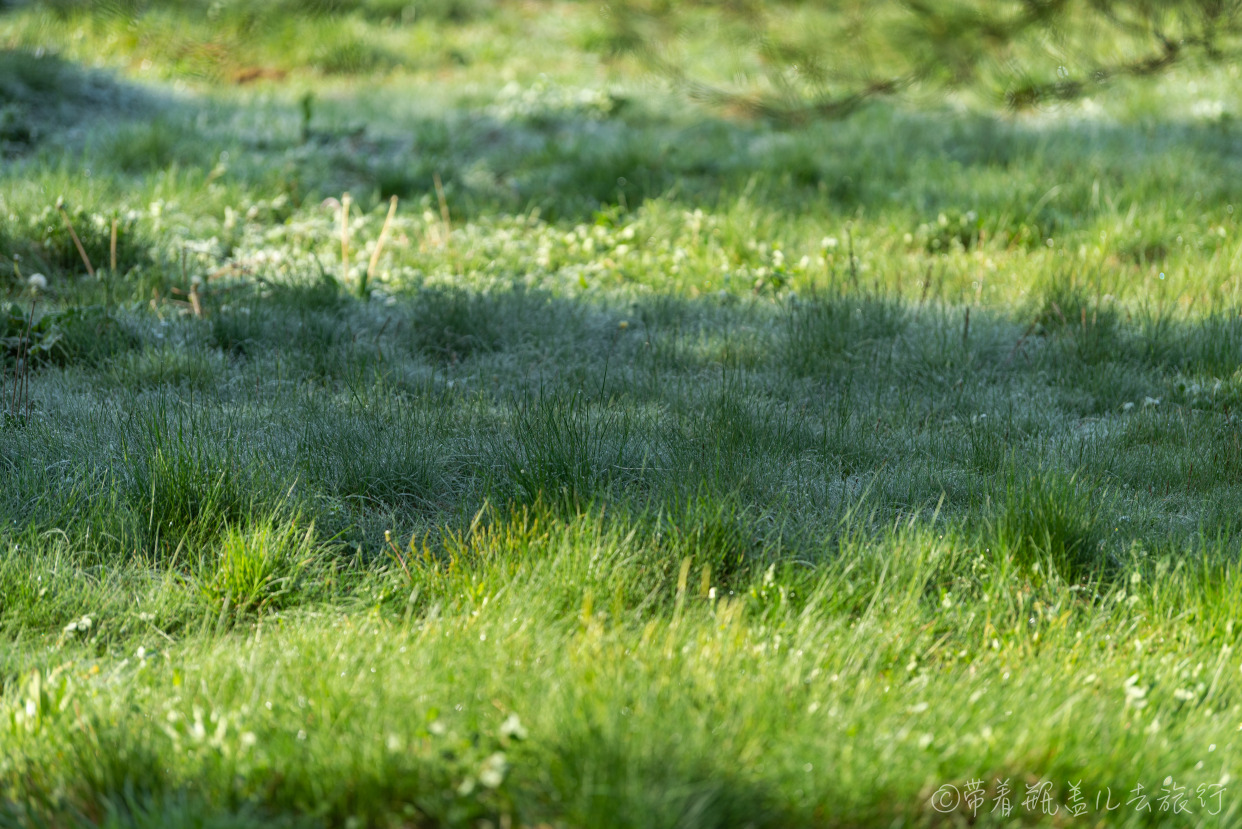 巫溪红池坝冬天自驾游攻略,巫溪红叶自驾游