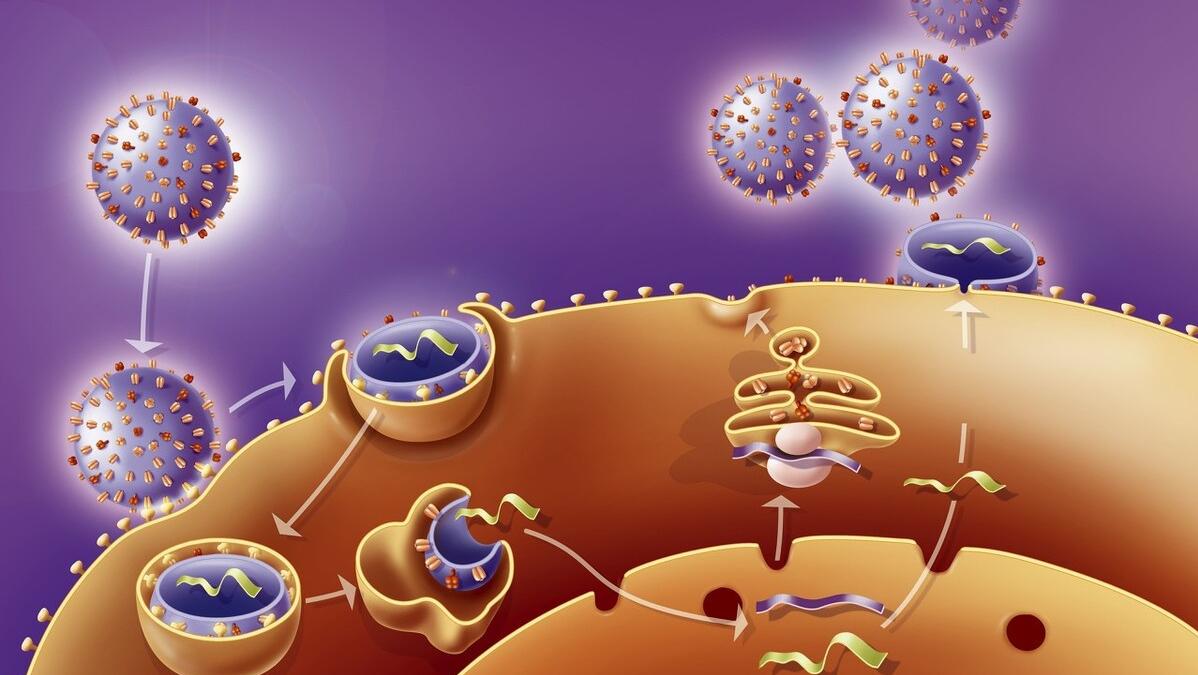 拉肚子导致的痔疮可以自愈吗,腹泻为什么也会有痔疮
