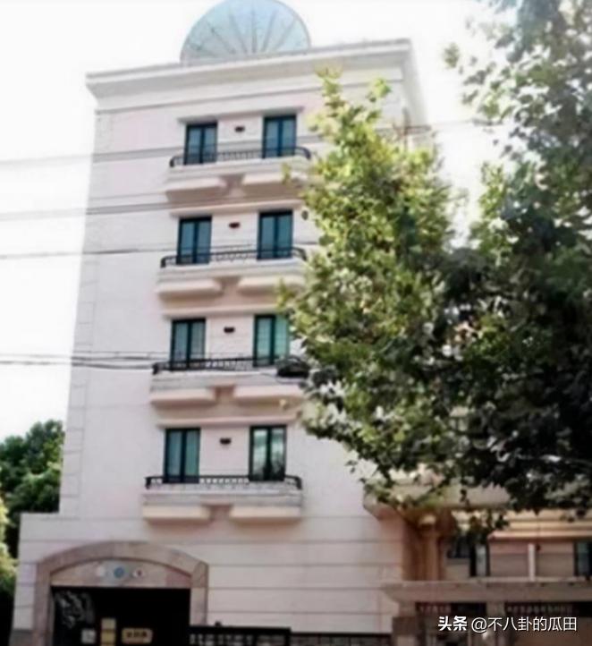 林心如戴钻戒出席活动,林心如戴超大钻戒