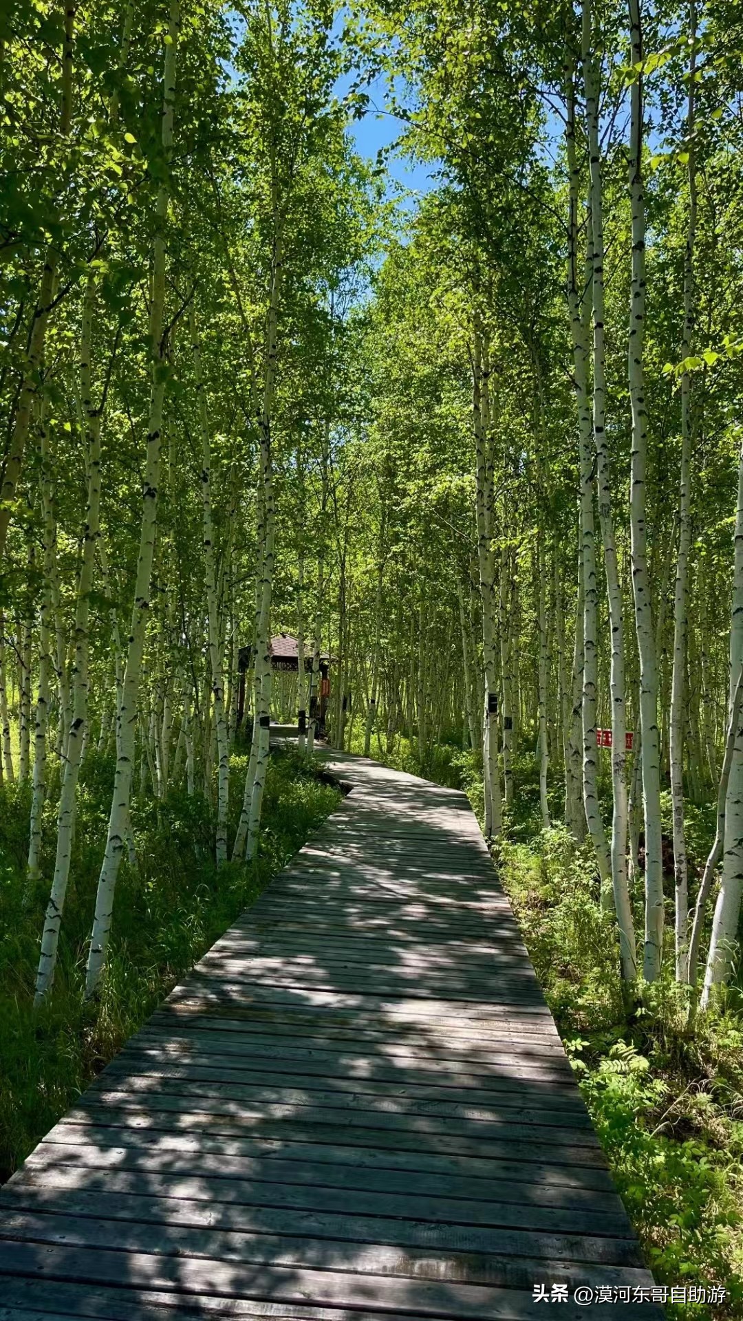 漠河景点路线攻略,漠河北极村旅游景点