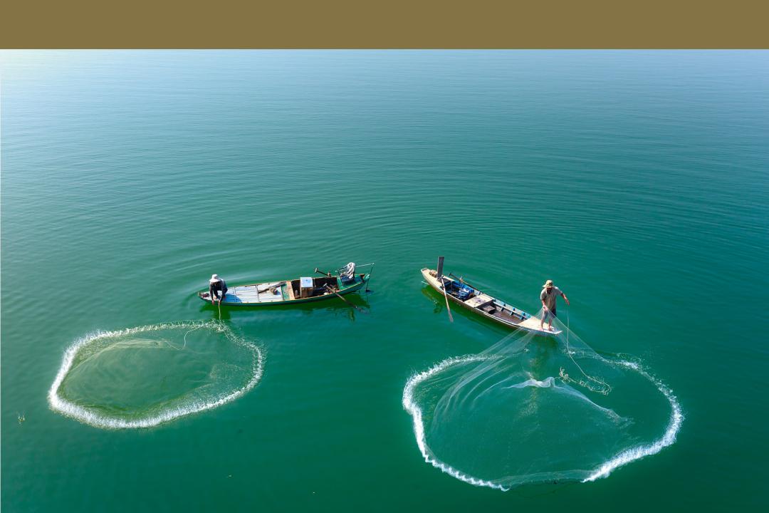 鱼籽酱的阶层跃升拯救了鲟鱼，但人类真的能「支配自然」吗？