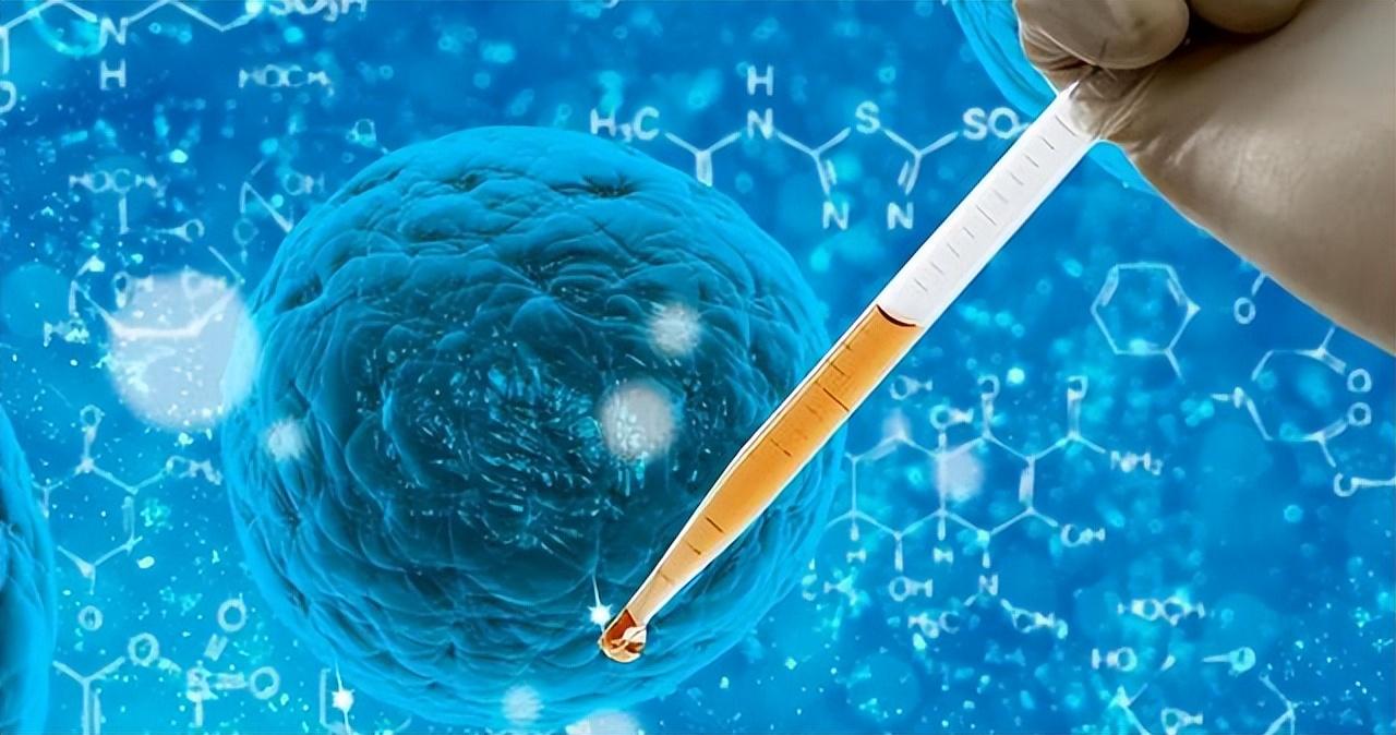 日本人动物胚胎实验长啥样,日本人动物胚胎实验