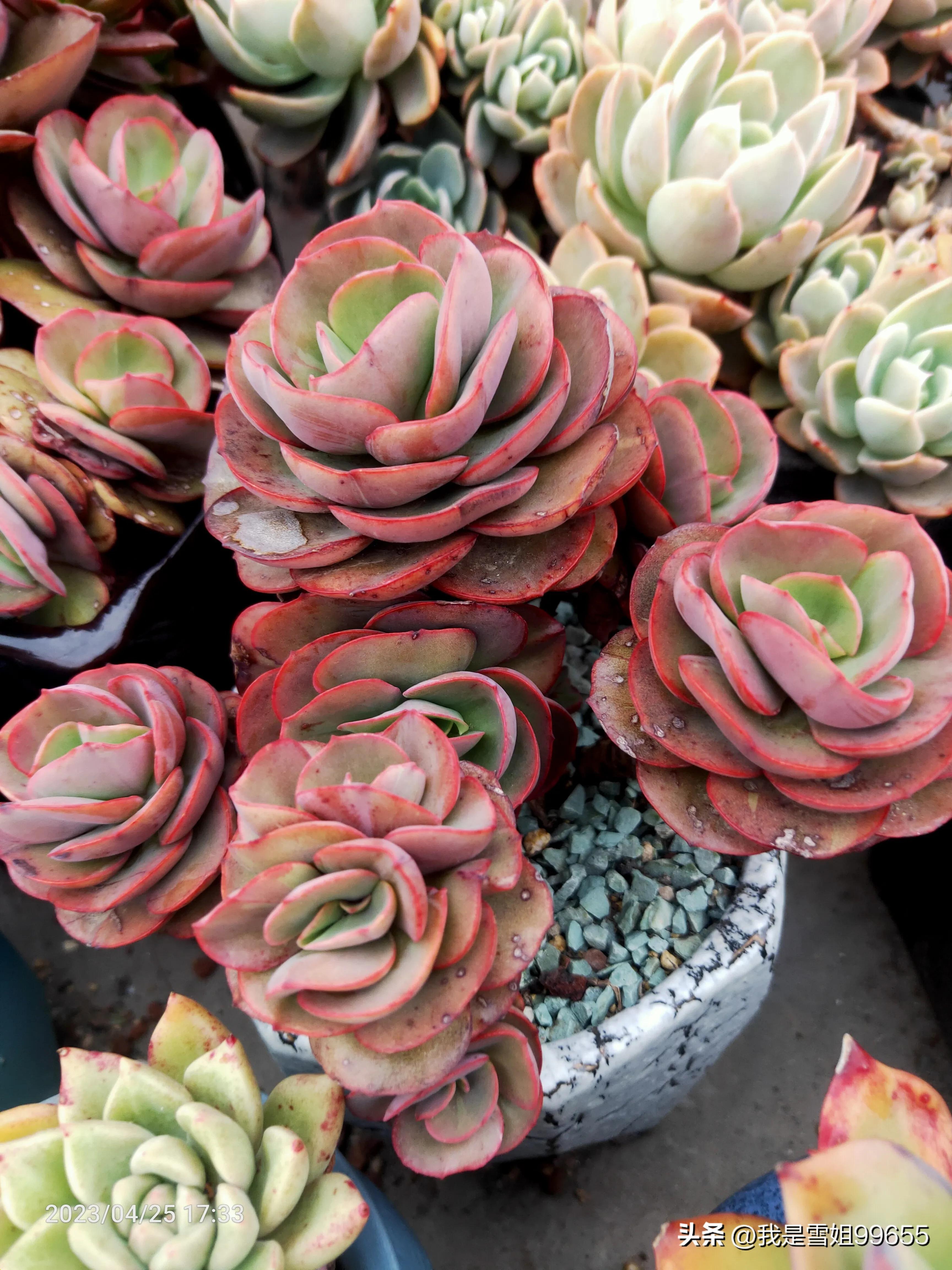 网约车提车日记,广州网约车真实记录