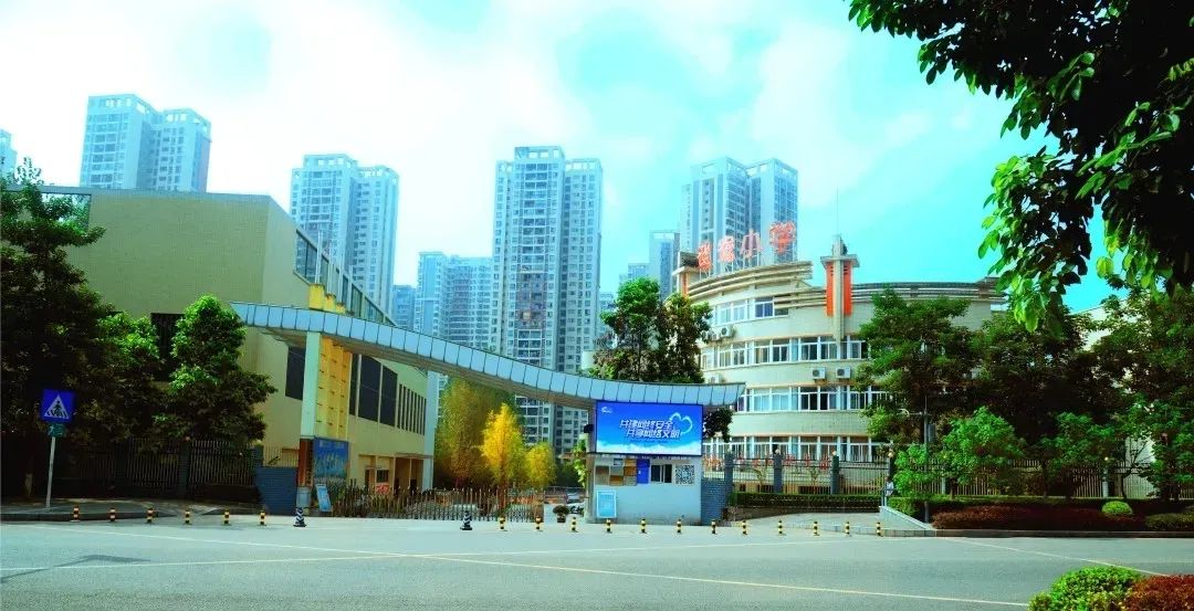 万州区集团化办学,重庆集团化办学的利与弊