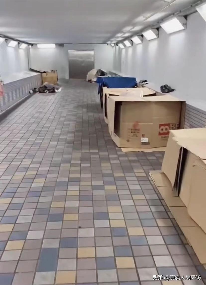 日本出国劳务真实经历,出国劳务日本真实情况