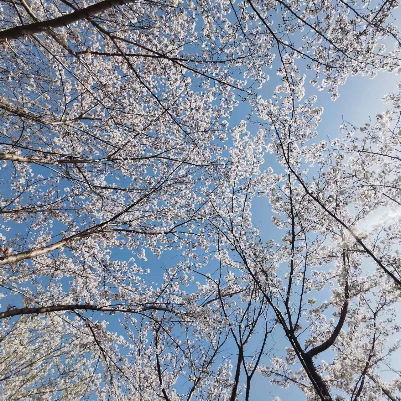 青岛房产—住宅交易税费