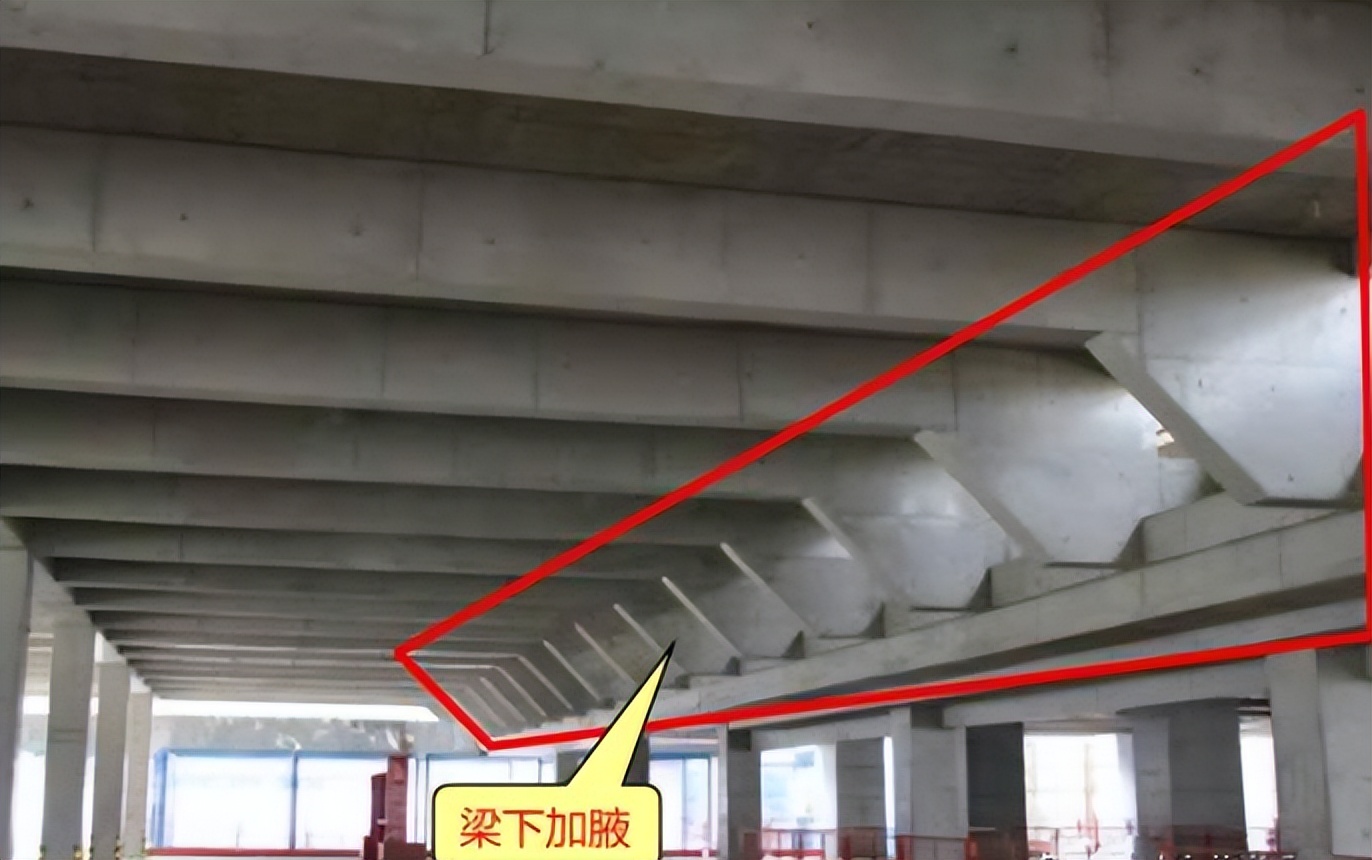 走进建筑,走进建筑视频