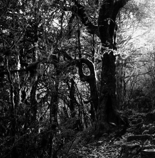 剿匪故事篇,剿匪的故事梗概