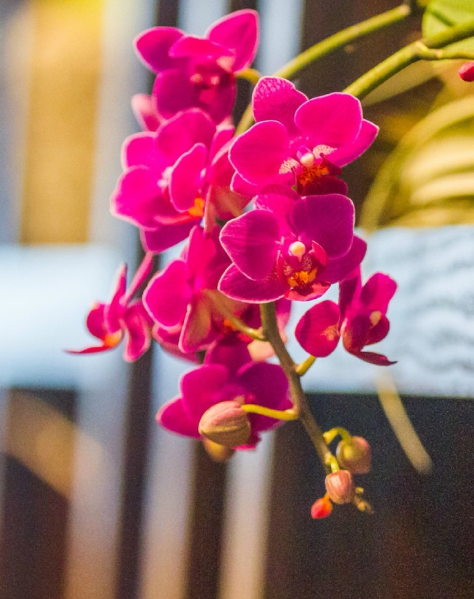 不管夫妻还是情人，若对方不联系你了，这么处理才最聪明