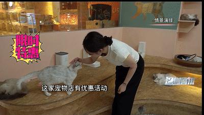 大街上免费领养狗是什么套路,中了免费领养猫咪是什么套路