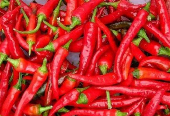 辣椒多了吃不完怎么办,夏季辣椒吃不完的储存方法