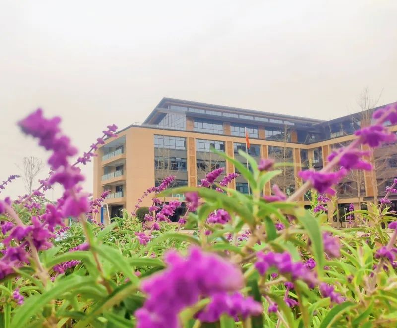 龙泉驿招聘教师最新信息,龙泉驿区西川汇锦都招聘