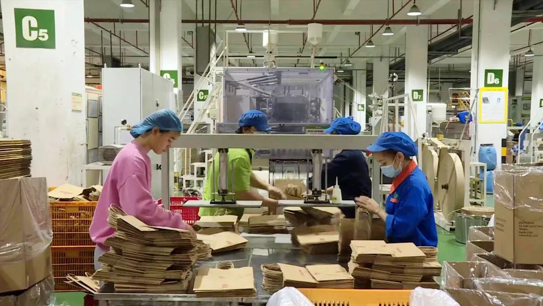 惠安开门红,惠安开门红项目