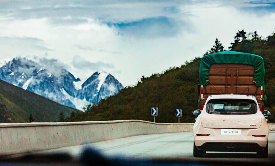 浪漫男友圣诞节送欧拉好猫？当事人：哄女友神器了