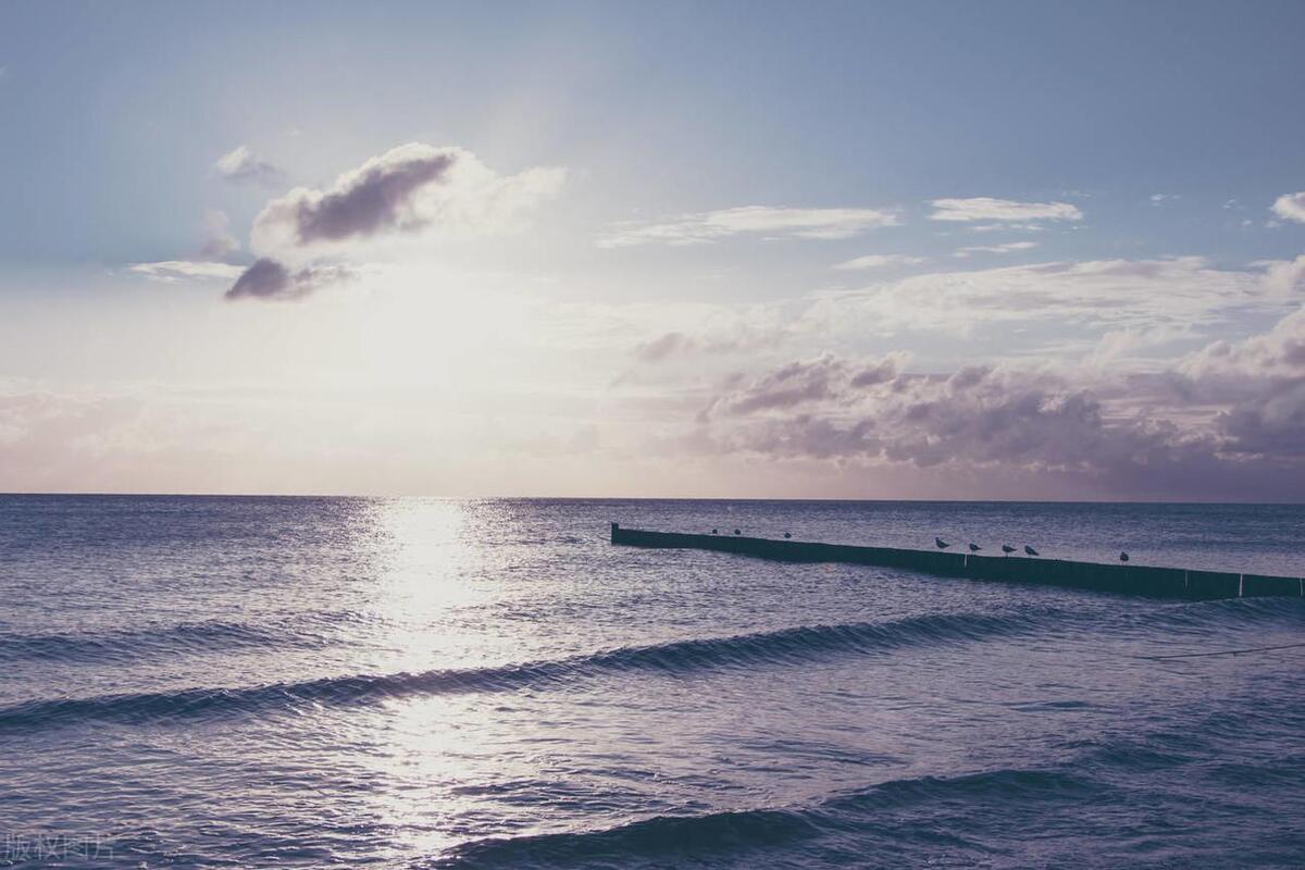 做销售要学会逼单才会有业绩,做销售如何突破自己的业绩