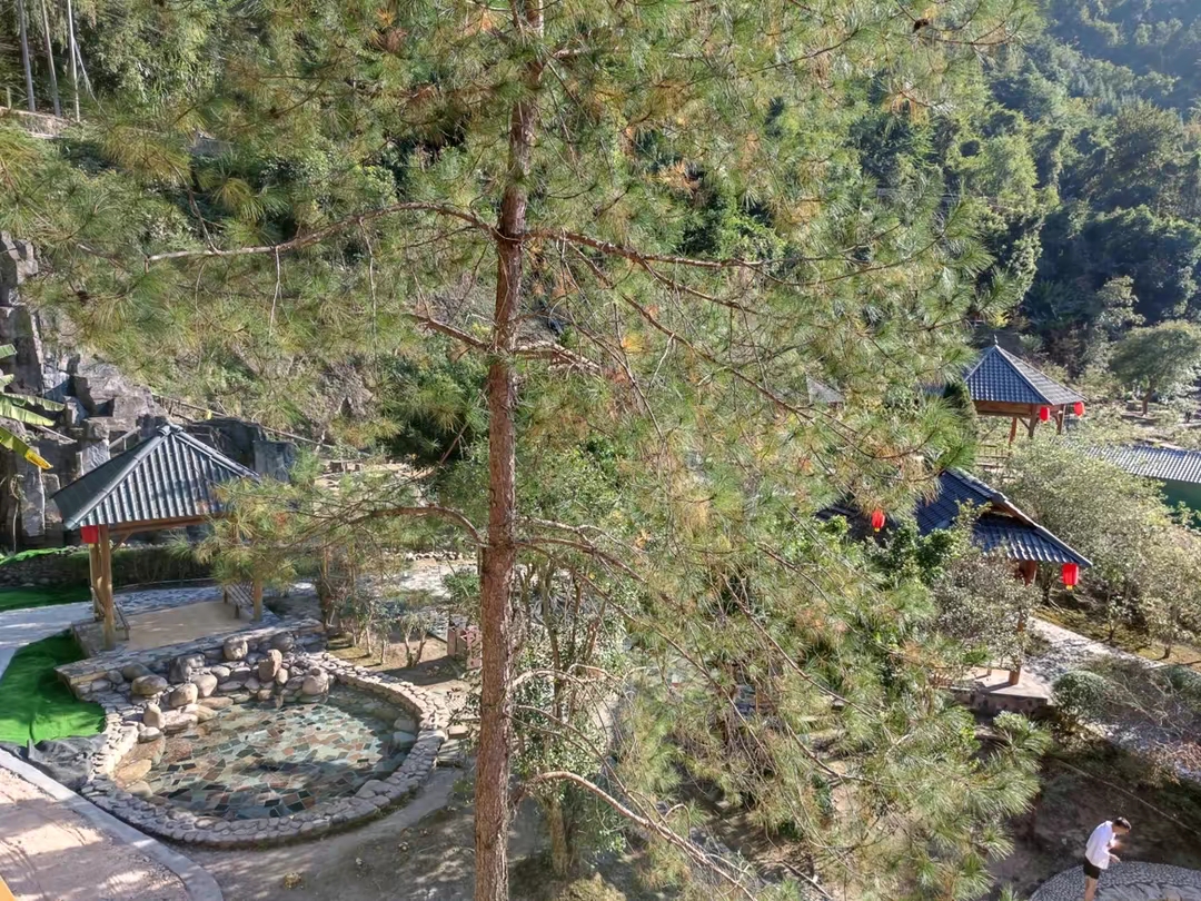 广东最值得推荐的温泉度假村,广东第一峰温泉是真温泉