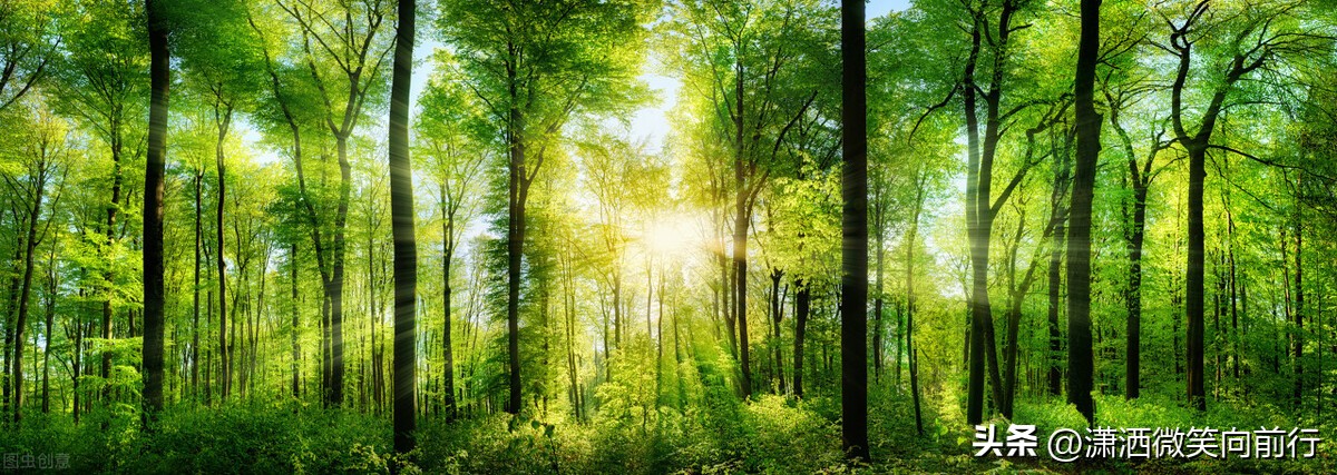 屏蔽你却不删你的人也不回信息,屏蔽你的人是不是该删了你