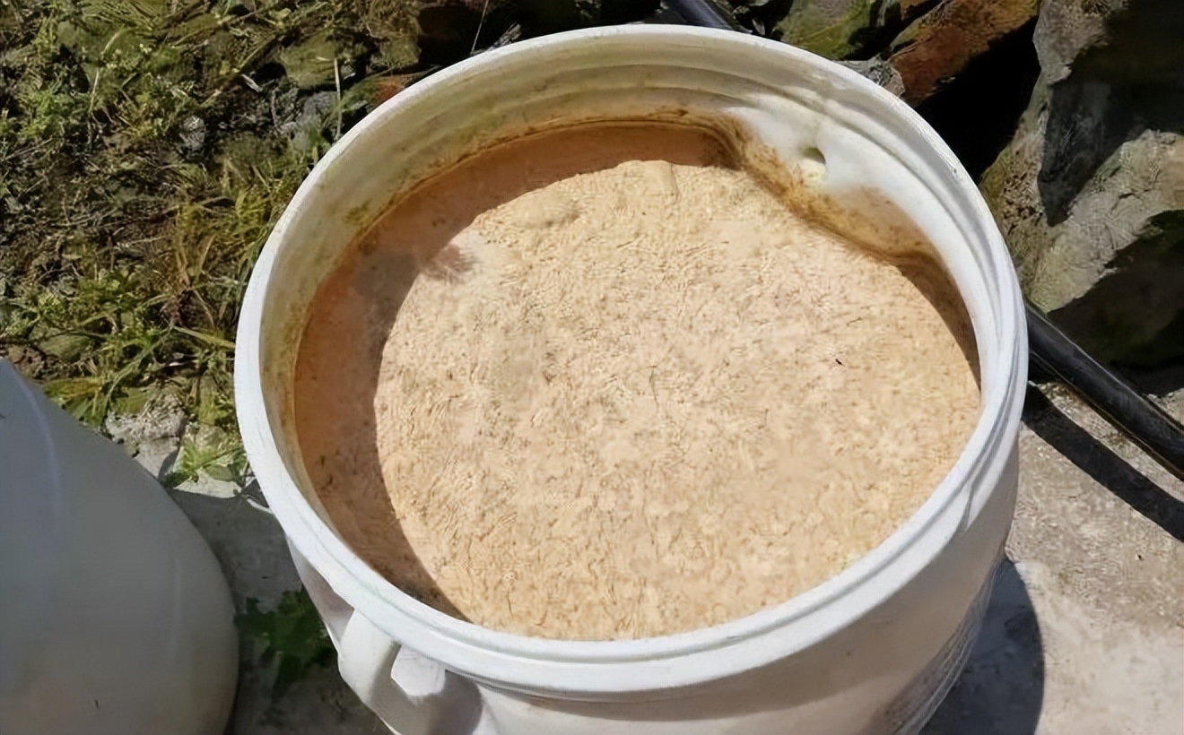 水产芽孢杆菌使用方法及注意事项,枯草芽孢杆菌对植物怎样使用最好