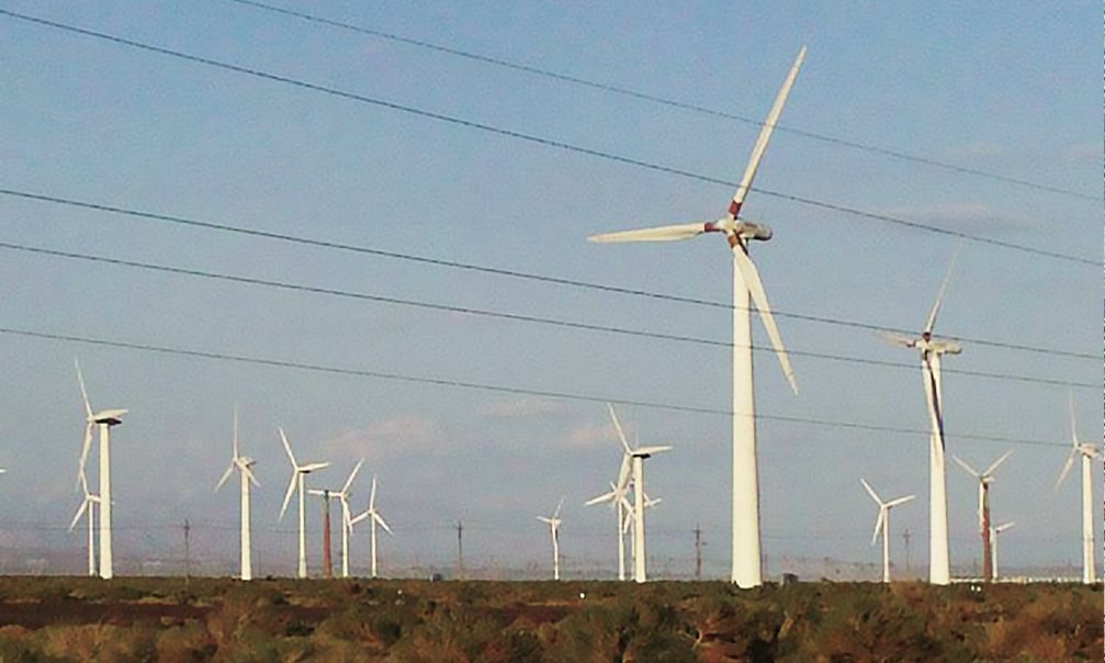 戈壁上的爱情,戈壁上的爱情电影在线观看