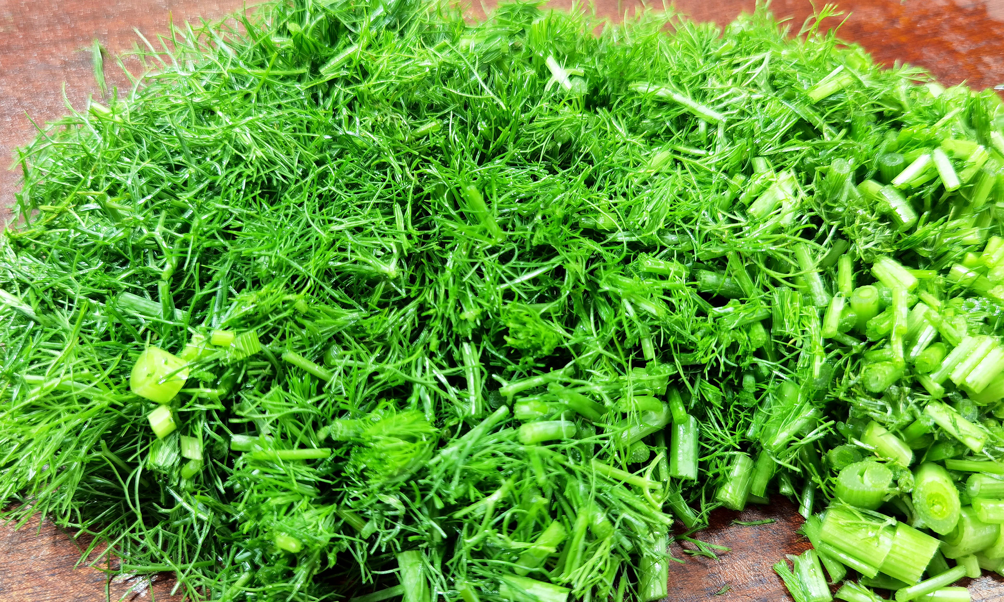 茴香菜怎么吃效果最好,夏天茴香菜