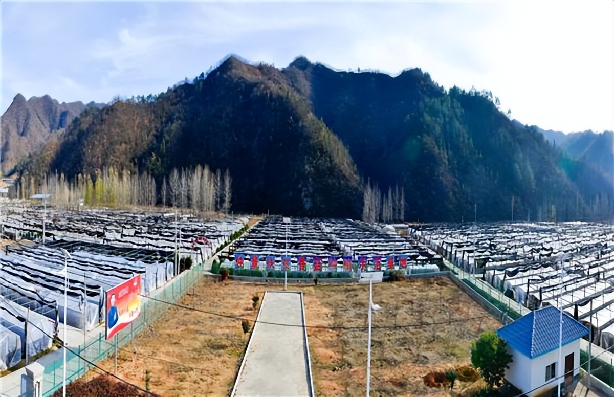 南阳市哪些县老百姓存钱多？内乡、西峡、淅川前三名