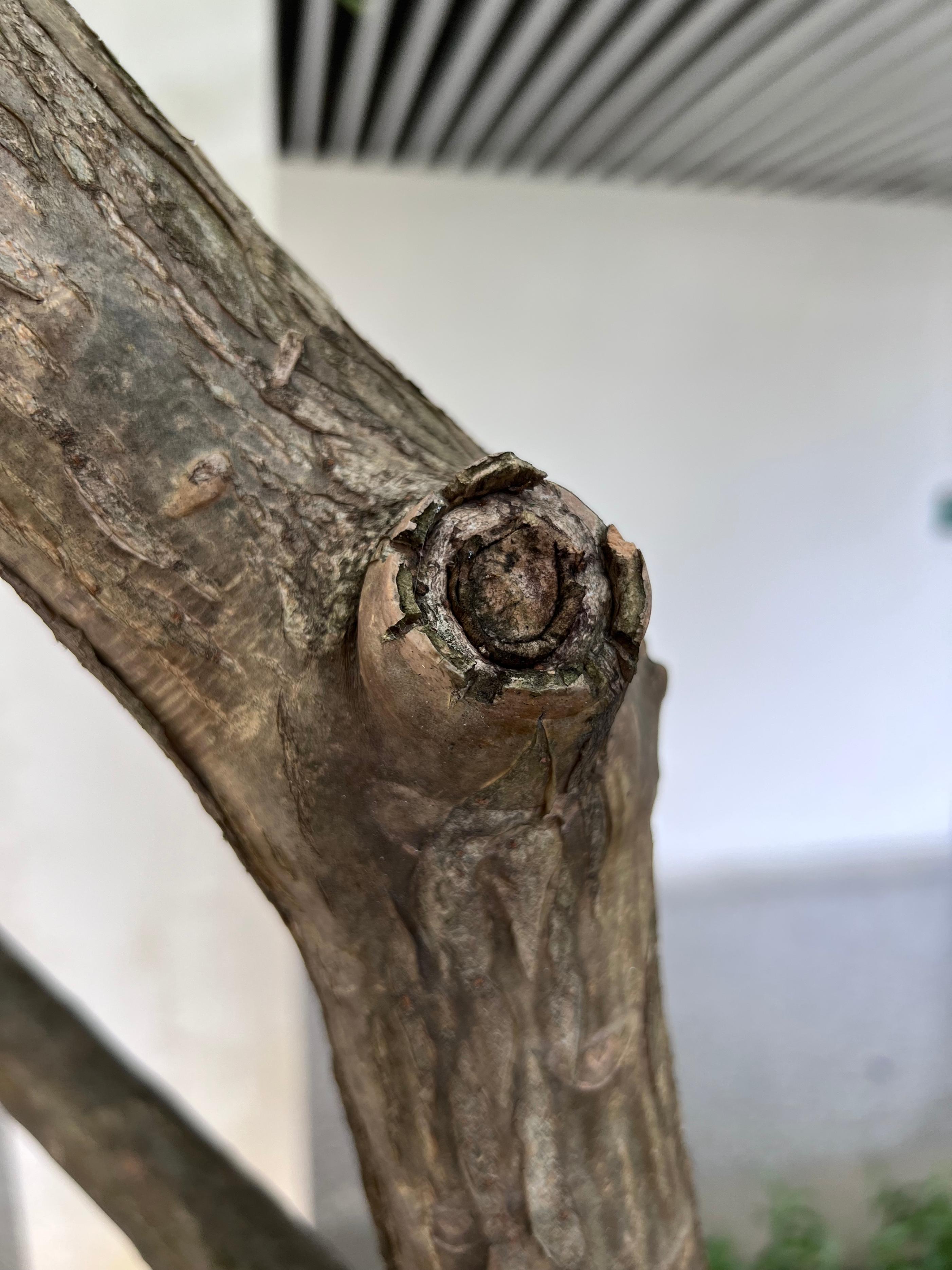 iphone14pro好用吗真实感受,iphone14pro真实体验感受