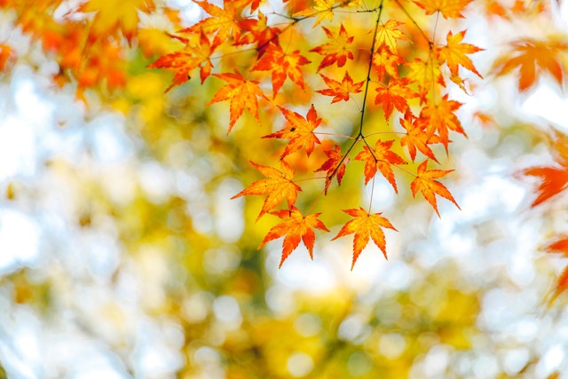 如何做好微商营销推广,怎么做微商的运营推广