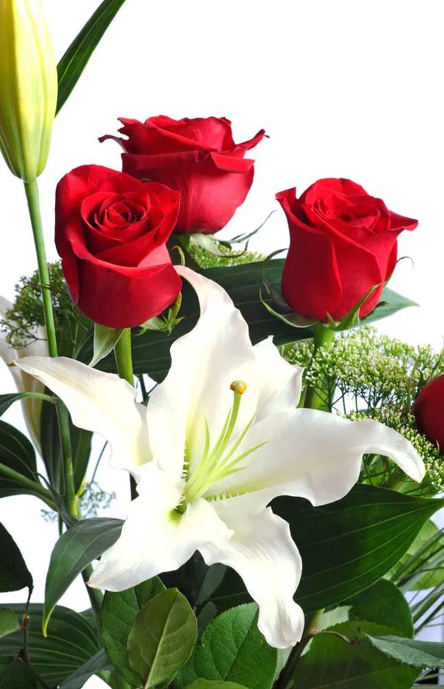 520浪漫玫瑰花壁纸,红玫瑰花壁纸大图