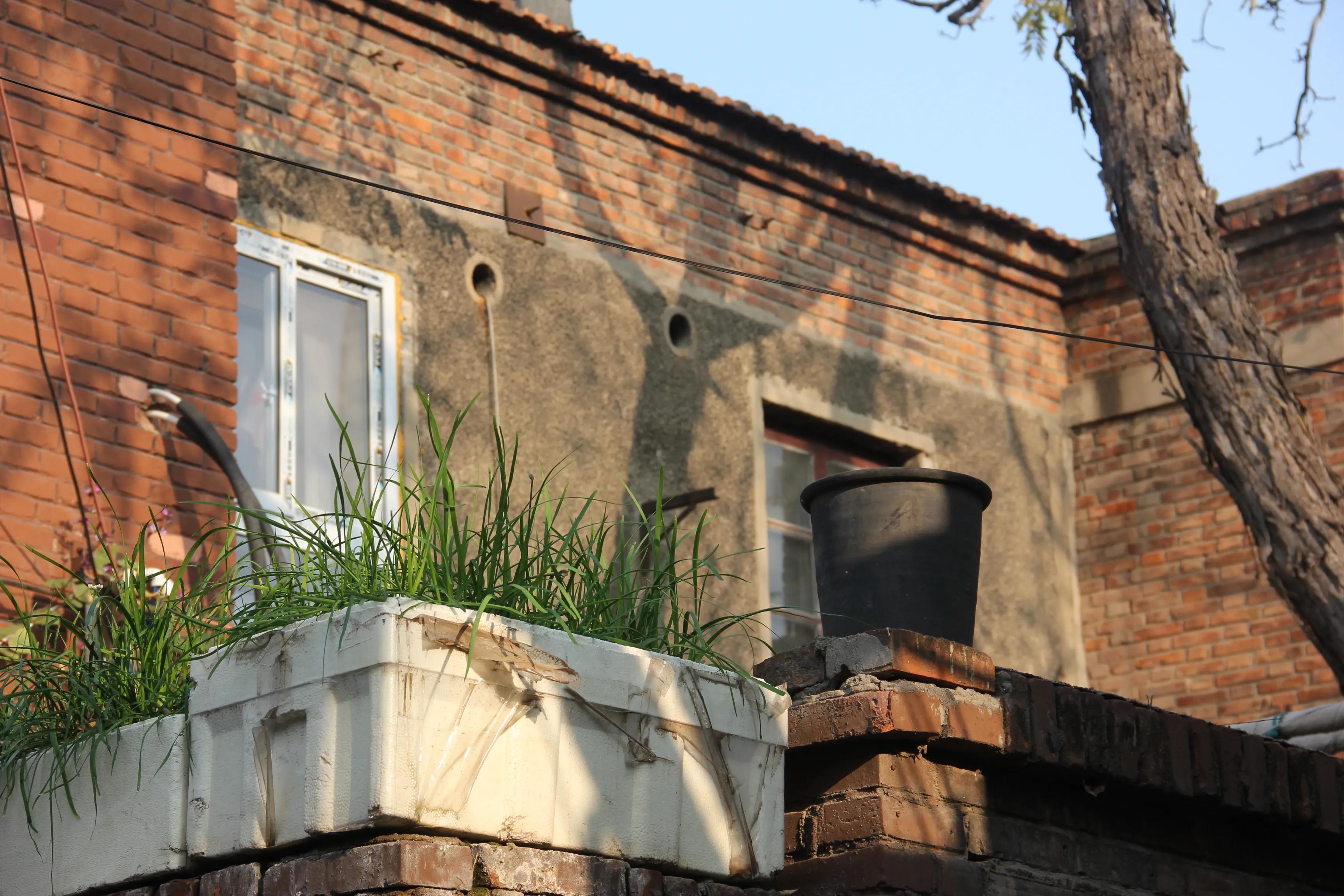 探访过去叫浪速街的四平东道