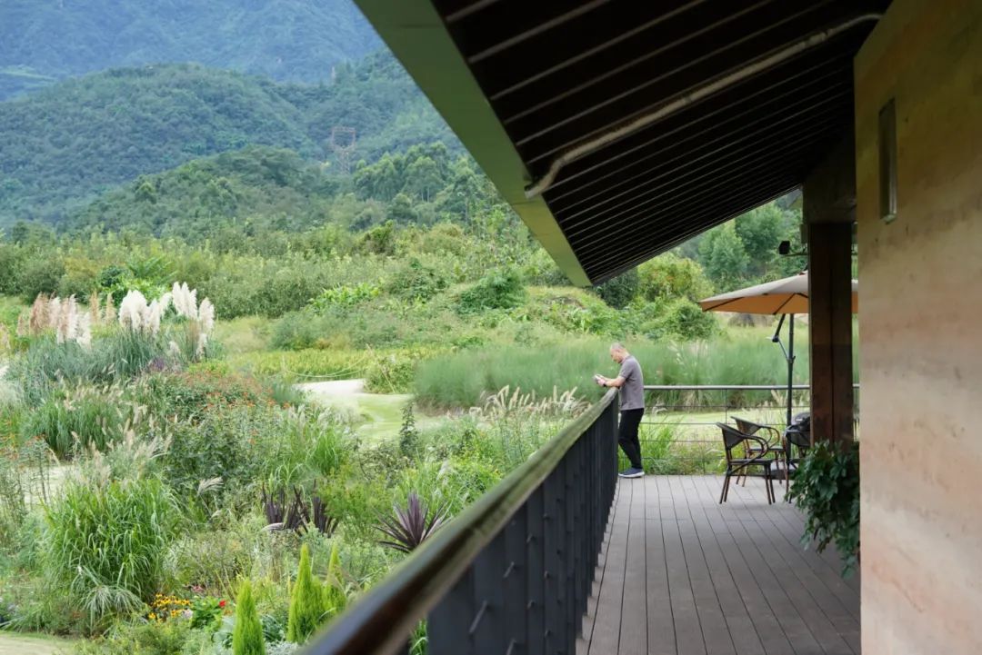 高桥小镇峨眉山,峨眉山高桥小镇在哪里