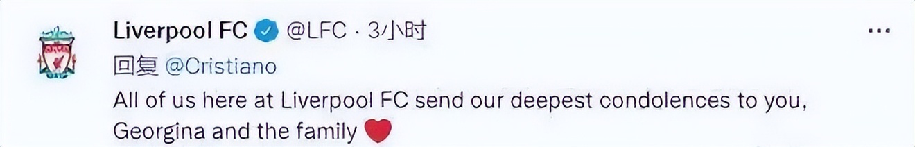 c罗龙凤胎儿子不幸夭折有谁安慰,c罗女友生了几胞胎